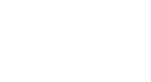 REINSW Logo